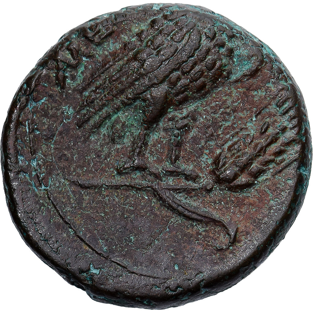 Monnaie, Lucanie, Æ, ca. 300-250 BC, Metapontion, TB+, Bronze, HN Italy:1704