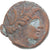 Moneta, Lucania, Æ, ca. 300-250 BC, Metapontion, MB, Bronzo, HN Italy:1695