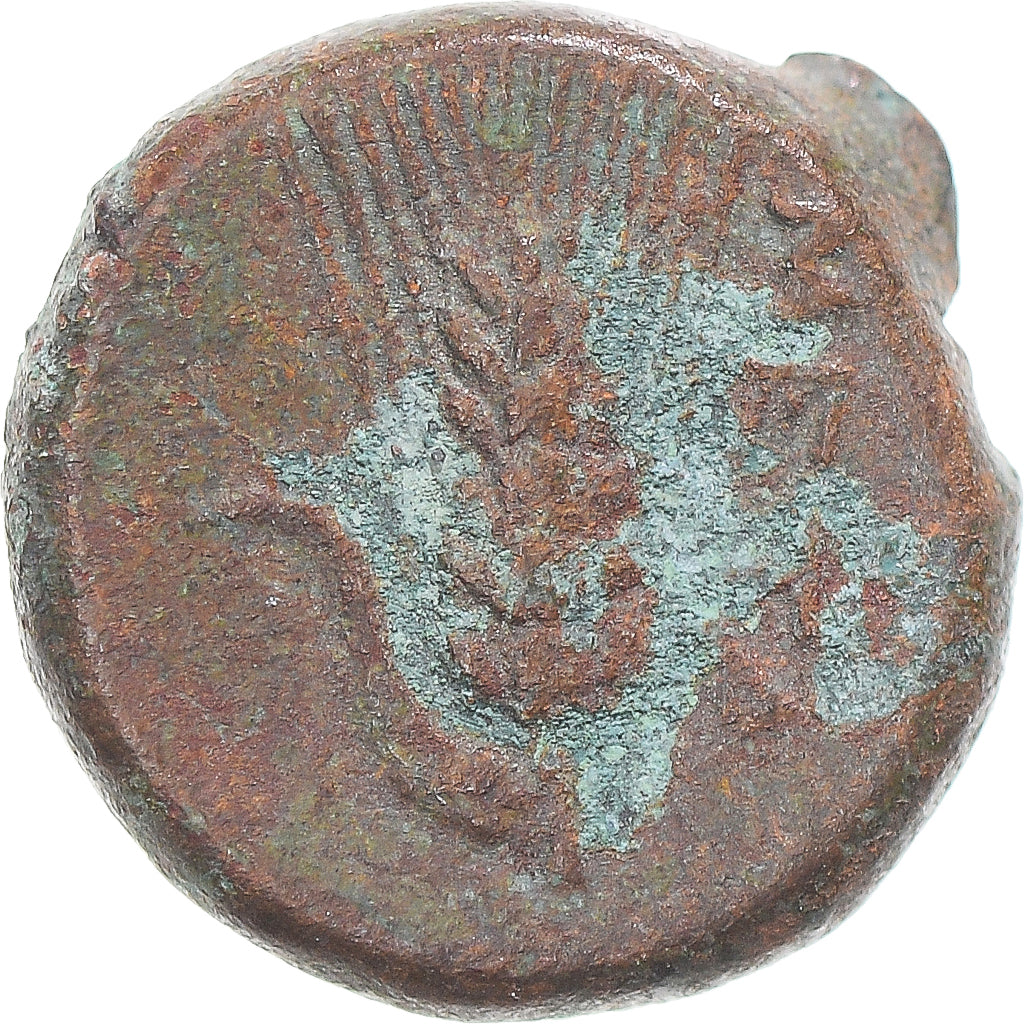 Moeda, Lucânia, Æ, ca. 300-250 BC, Metapontion, VF(20-25), Bronze, HN