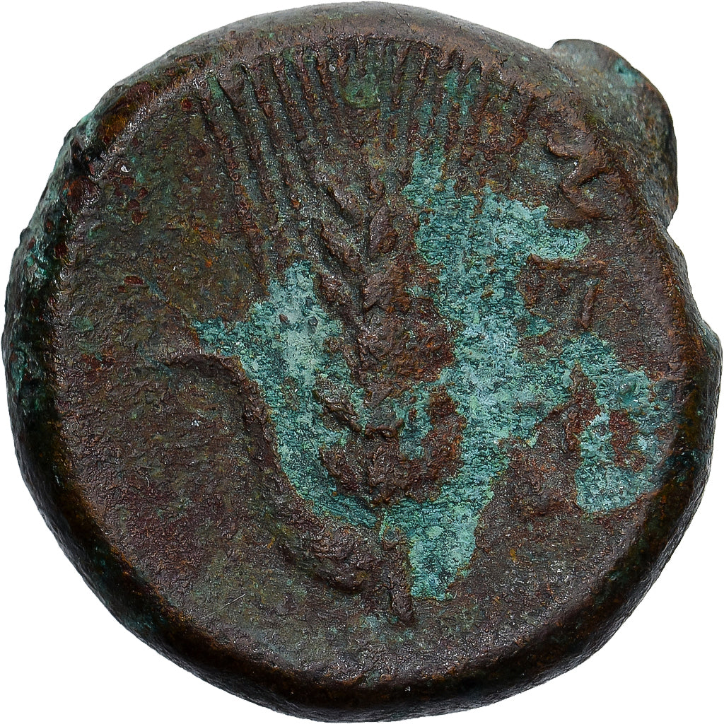 Monnaie, Lucanie, Æ, ca. 300-250 BC, Metapontion, TB, Bronze, HN Italy:1695
