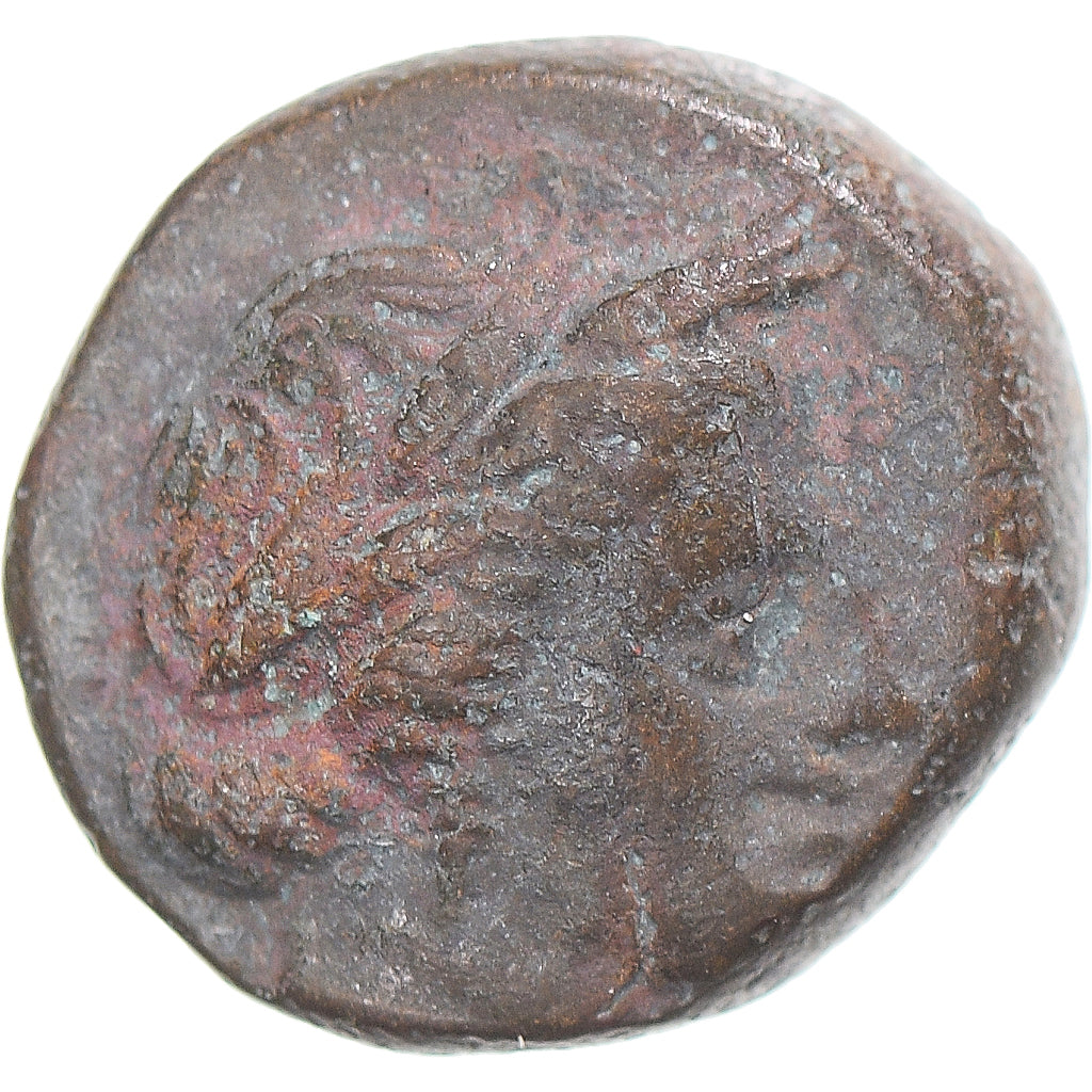 Moeda, Lucânia, Æ, ca. 300-250 BC, Metapontion, VF(30-35), Bronze, HN
