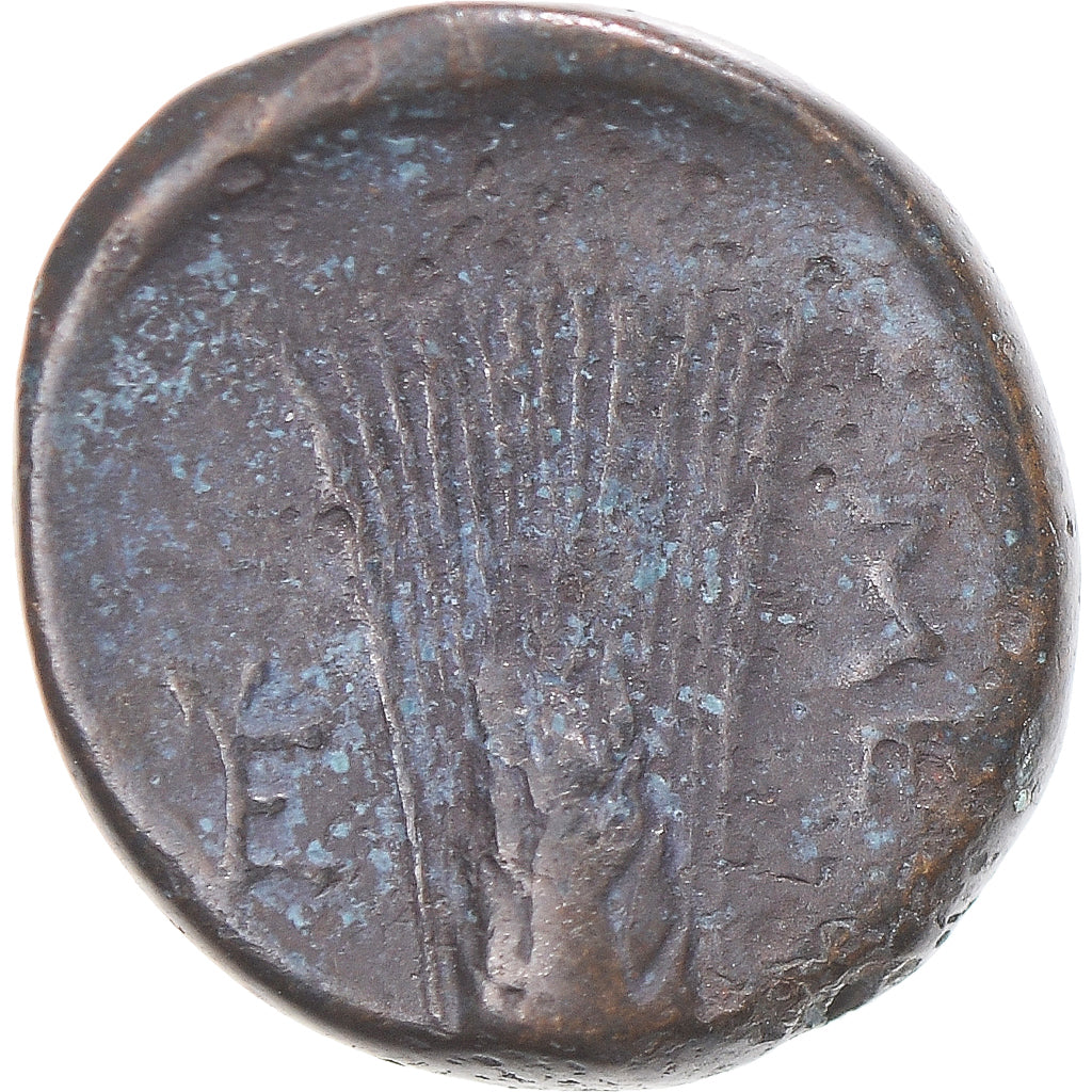 Moneta, Lucania, Æ, ca. 300-250 BC, Metapontion, BB, Bronzo, HN Italy:1693