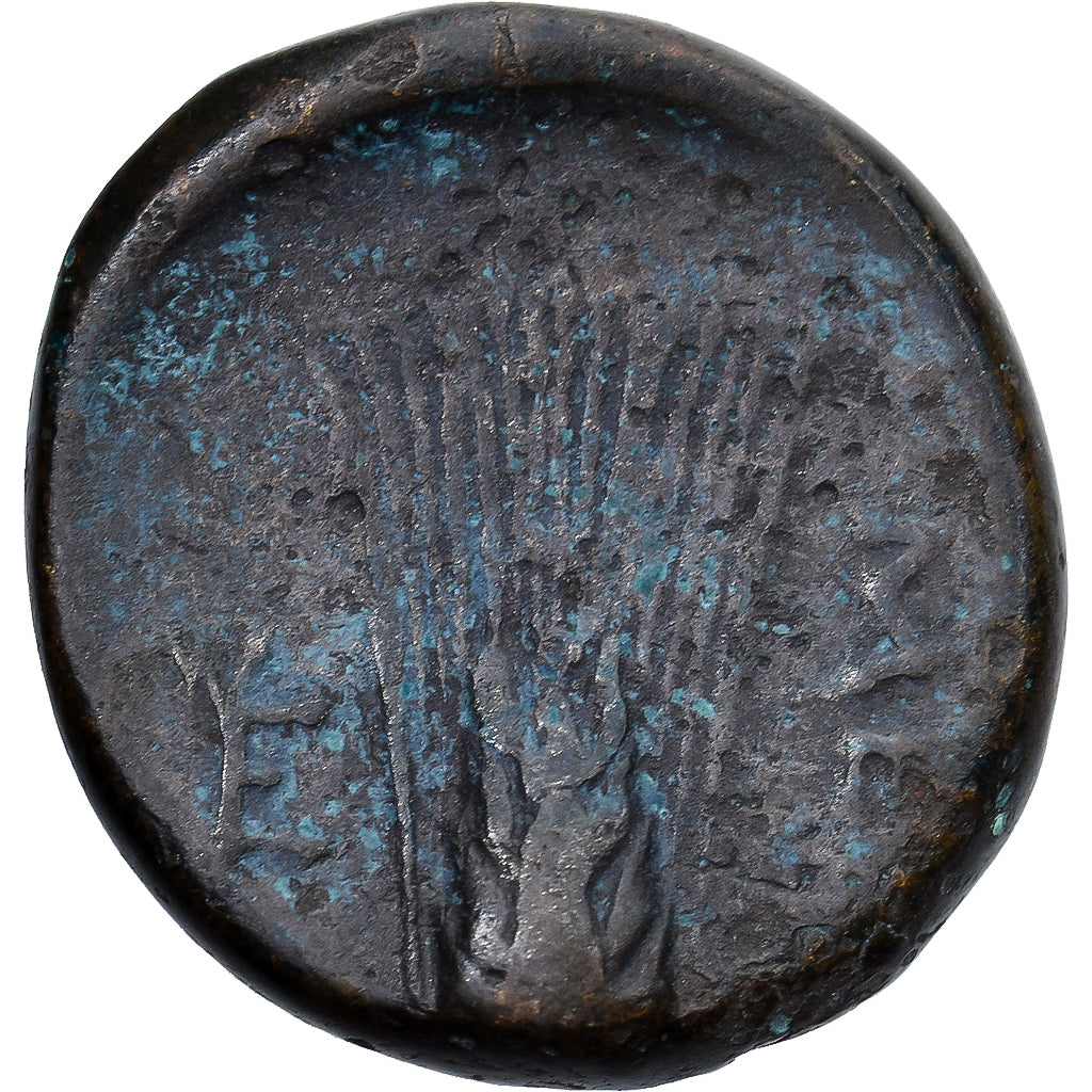 Moneta, Lucania, Æ, ca. 300-250 BC, Metapontion, EF(40-45), Brązowy, HN