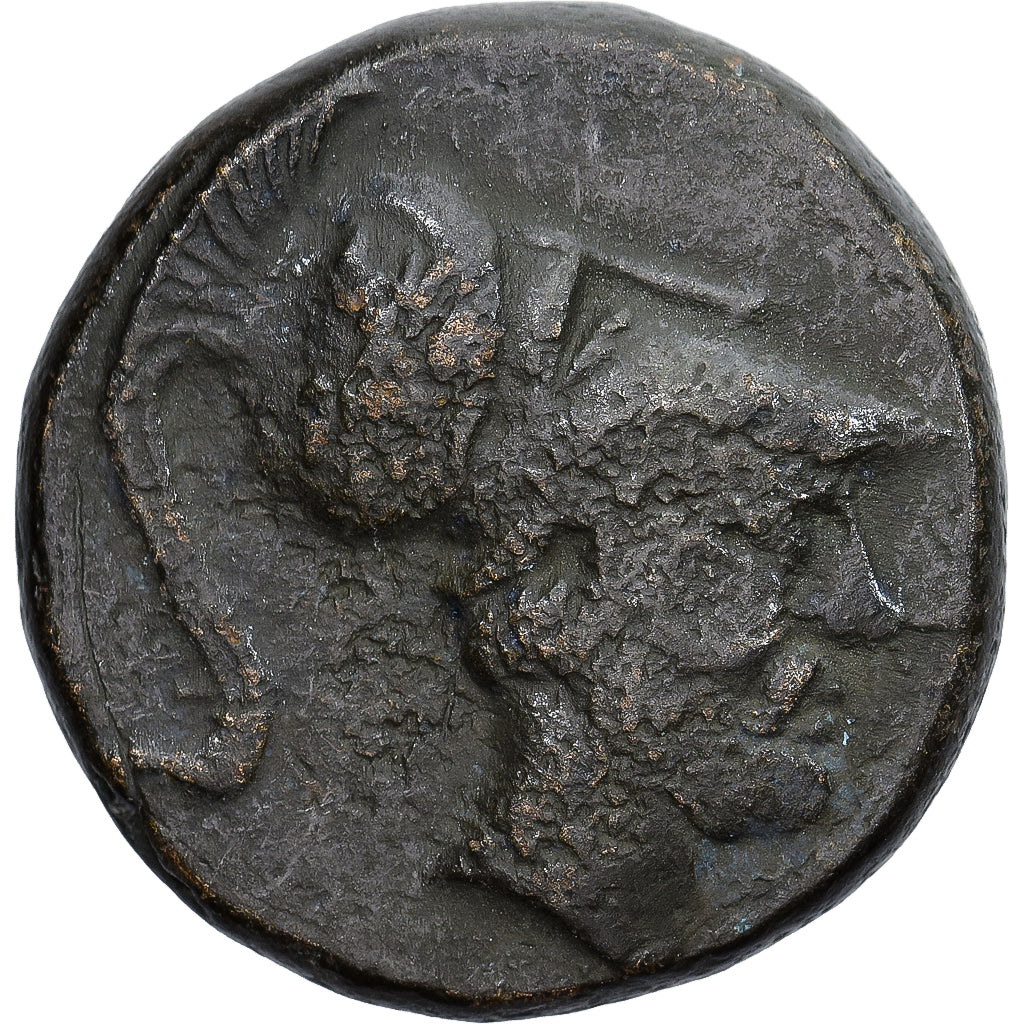 Moneda, Lucania, Æ, ca. 225-200(?) BC, Metapontion, BC+, Bronce, HN Italy:1702