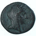 Moneta, Lucania, Æ, ca. 300-250 BC, Metapontion, VF(30-35), Brązowy, HN