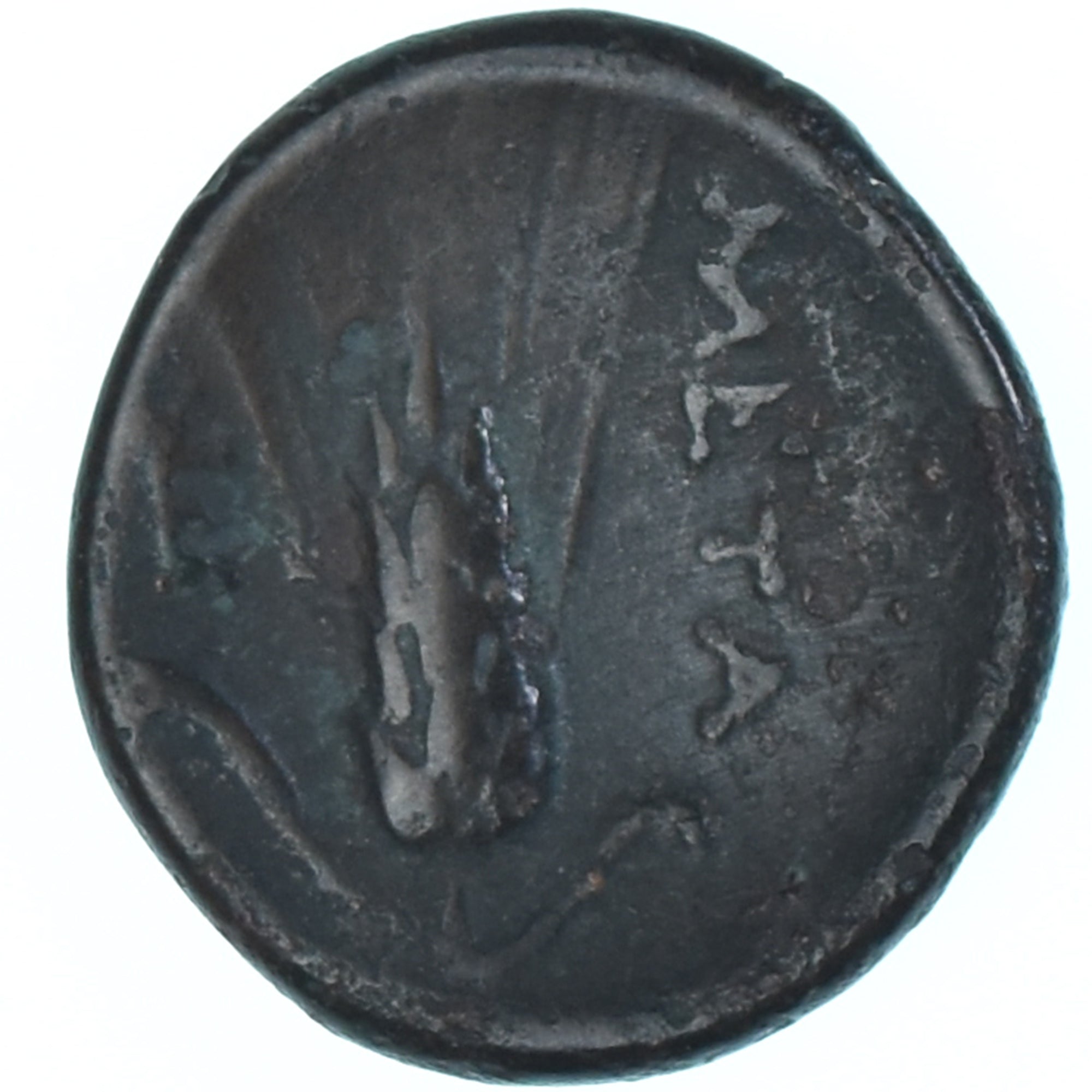 Moneta, Lucania, Æ, ca. 300-250 BC, Metapontion, VF(30-35), Brązowy, HN