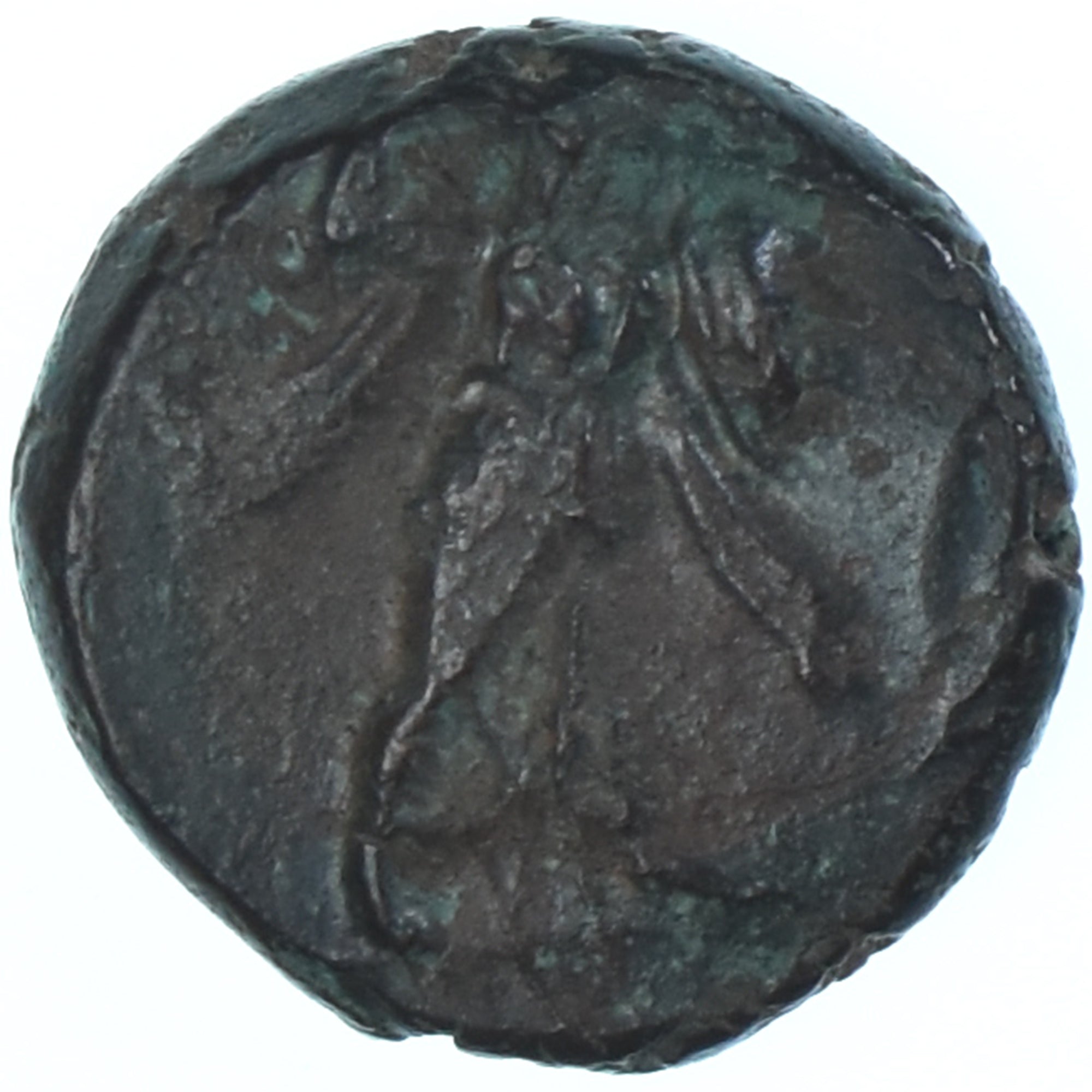 Moneda, Lucania, Æ, ca. 300-250 BC, Metapontion, BC+, Bronce, HN Italy:1704