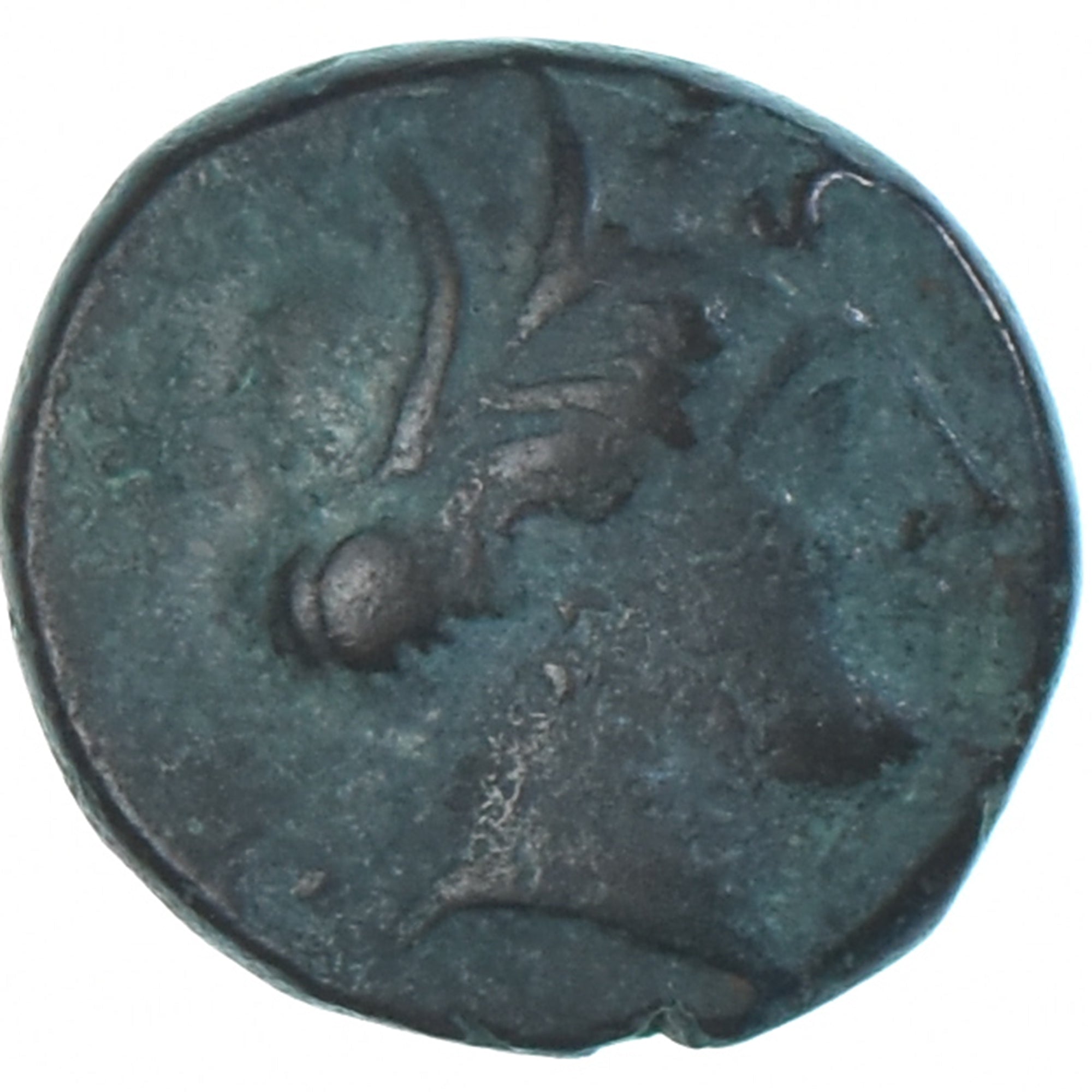 Coin, Lucania, Æ, ca. 300-250 BC, Metapontion, VF(20-25), Bronze, HN Italy:1695