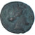 Coin, Lucania, Æ, ca. 300-250 BC, Metapontion, VF(20-25), Bronze, HN Italy:1695