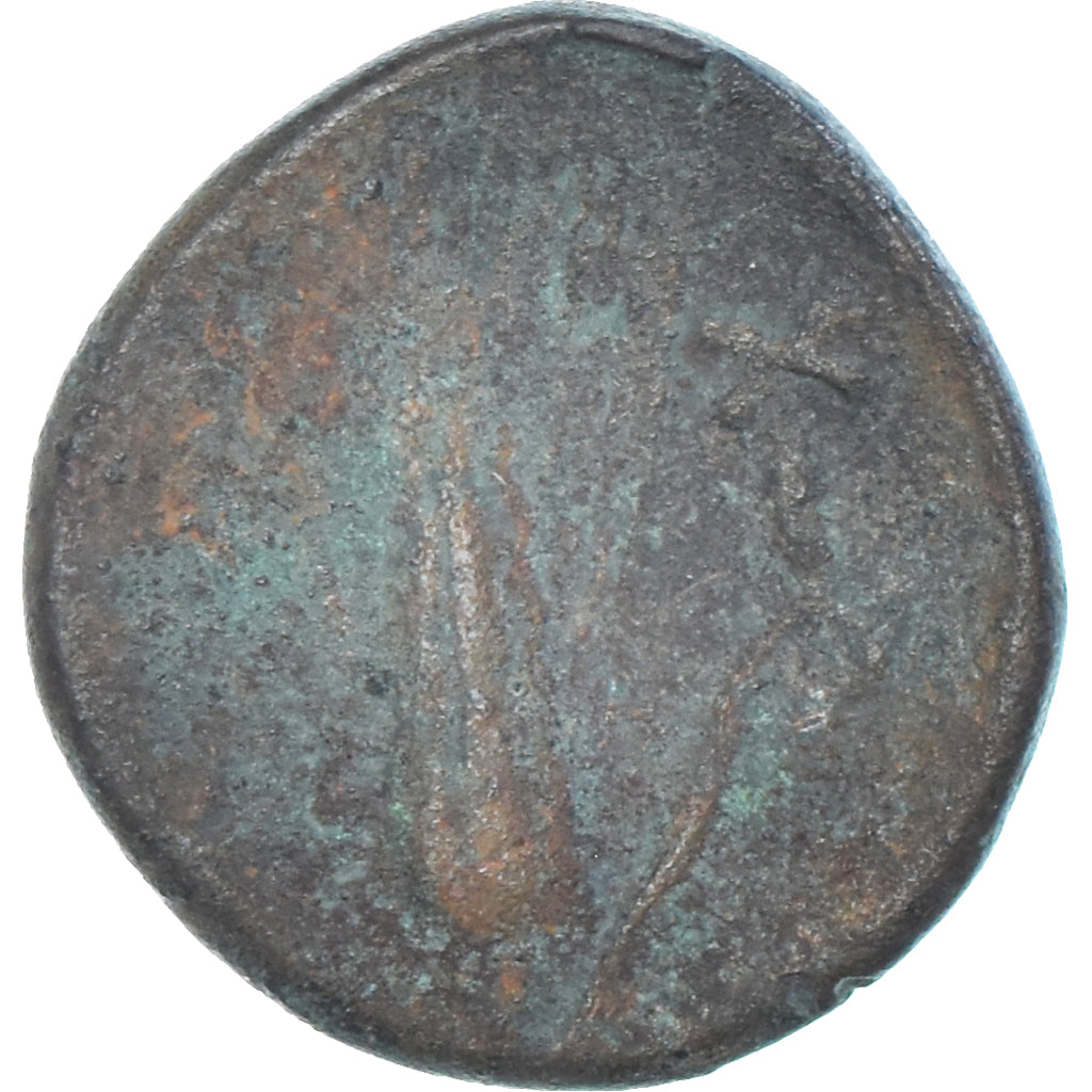 Monnaie, Lucanie, Æ, ca. 300-250 BC, Metapontion, TB, Bronze, SNG-Cop:1255