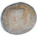 Coin, Augustus, As, 12-14, Lugdunum, F(12-15), Bronze, RIC:245