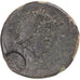 Coin, Bithynia, Septimius Severus, Æ, 193-211, Nikaia, Countermark, VF(30-35)