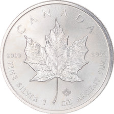Coin, Canada, Elizabeth II, Maple Leaf, 5 dollars, 1 oz, 2015, Ottawa, Proof