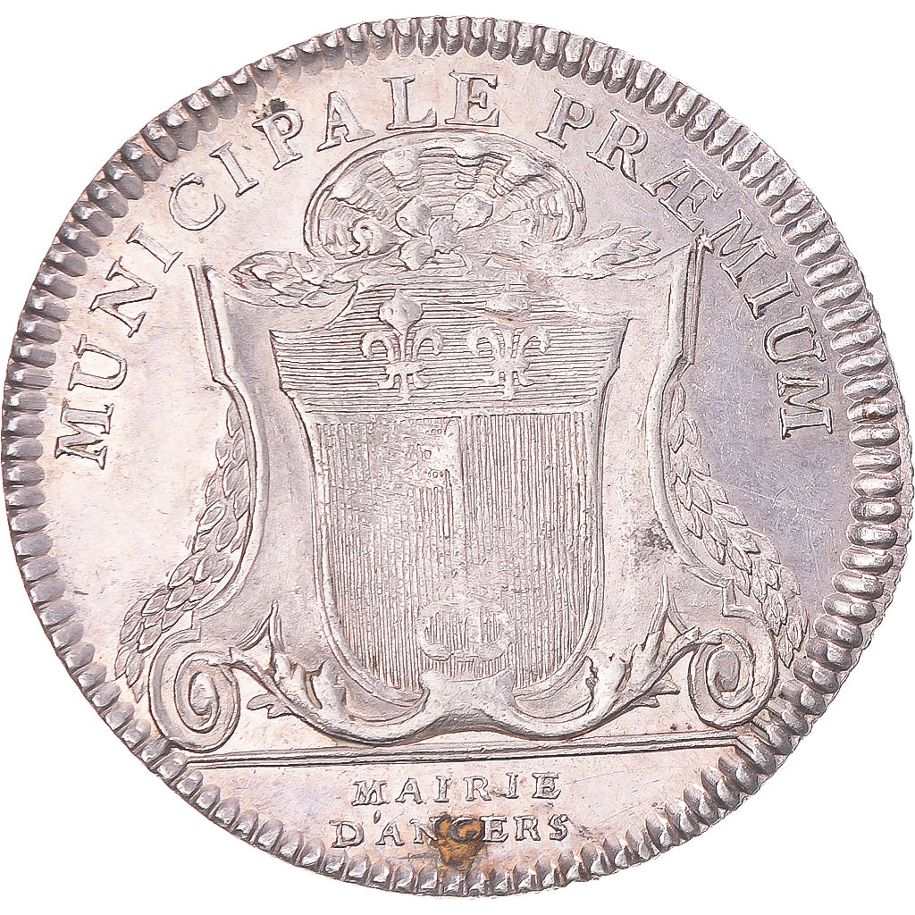 Frankreich, betaalpenning, Louis-Stanislas-Xavier, duc d’Anjou, Mairie