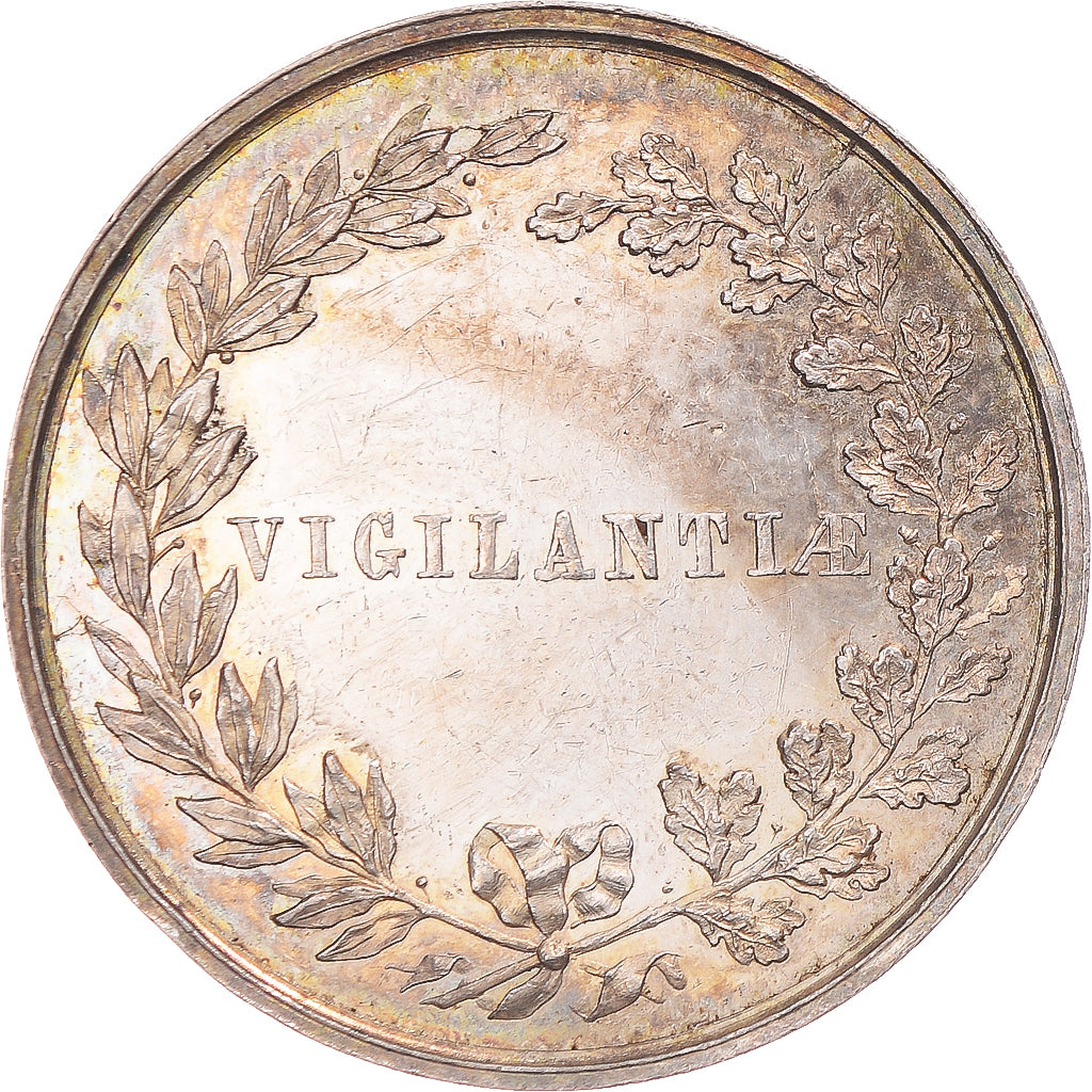 Belgium, Token, Le Sénat de Tournai, AU(55-58), Silver
