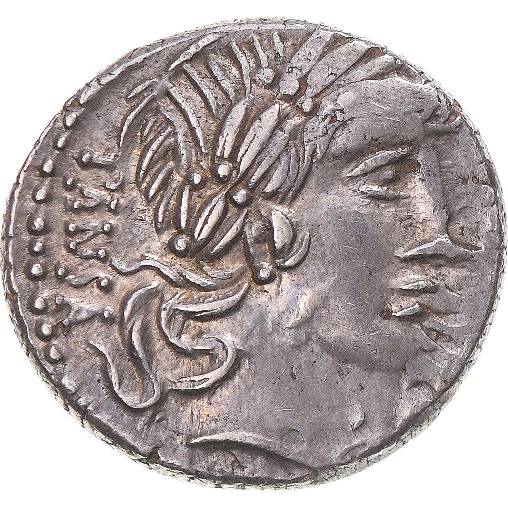 Münze, Vibia, Denarius, 90 BC, Rome, SS+, Silber, Crawford:342/5b