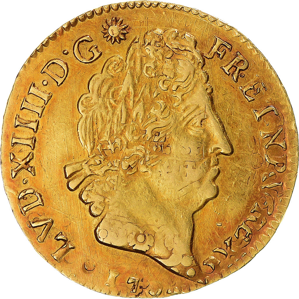 France, Louis XIV, Louis d'or aux insignes, 1704, Lyon, Réformé, Or, TTB+
