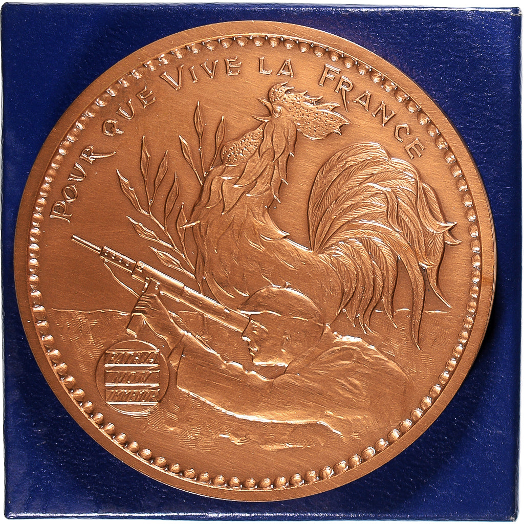 França, medalha, Résistance - Jean Moulin, 1985, MS(63), Bronze