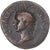 Moneta, Tiberius, under Titus, As, 80-81, Rome, MB+, Bronzo, RIC:435
