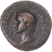 Moneta, Tiberius, under Titus, As, 80-81, Rome, MB+, Bronzo, RIC:435