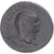 Titus, Dupondius, 77-78, Rome, Bronzo, BB