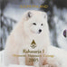 Finlandia, Coffret 1c. à 2€ + jeton, Arctic fox, 2005, Mint of Finland