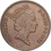 Great Britain, Elizabeth II, 2 Pence, 1988, Llantrisant, EF(40-45), Bronze