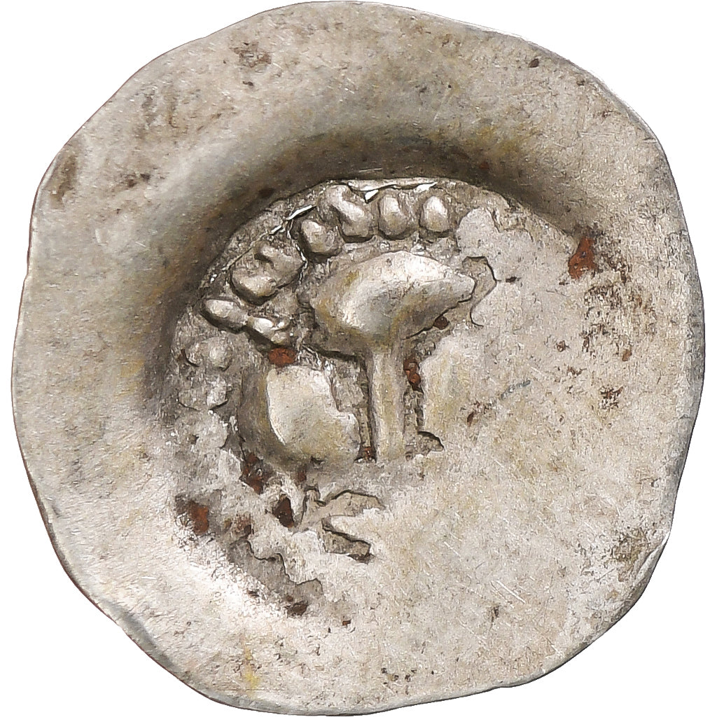 Munten, FRANSE STATEN, ALSACE, Pfennig au lis, XIVth-XVth Century, Strasbourg