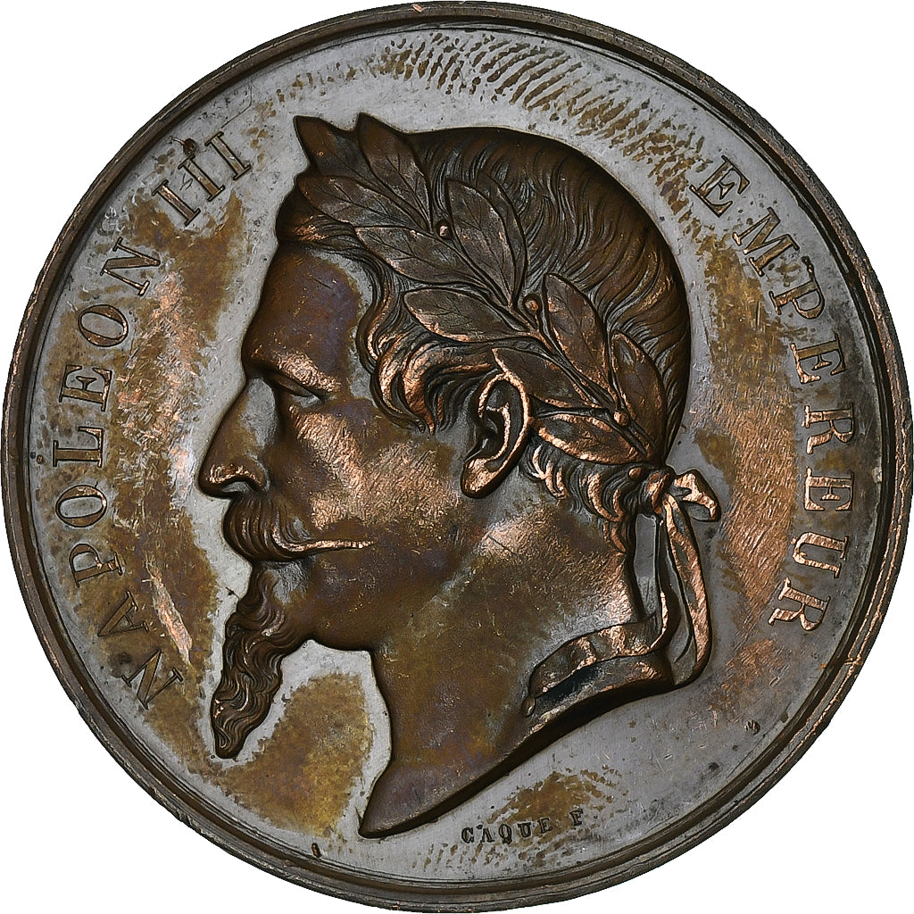 Francia, medaglia, Napoléon III, Ville de Paris, Enseignement du Dessin, 1868