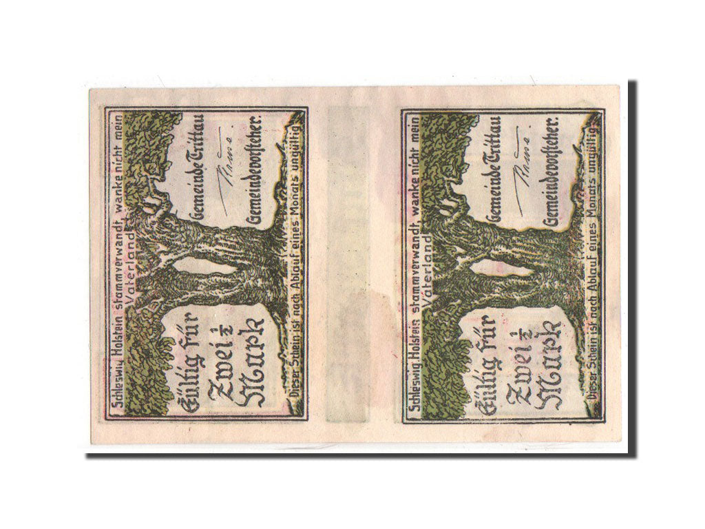 Banknote, Germany, Schleswig-Holstein, 5 Mark, 1922, UNC(65-70), Mehl:1347.5