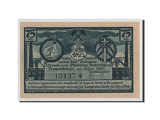 Banconote, Germania, Anhalt, 75 Pfennig, 1921, FDS, Mehl:794.3