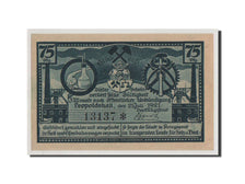 Banknot, Niemcy, Anhalt, 75 Pfennig, 1921, UNC(65-70), Mehl:794.3
