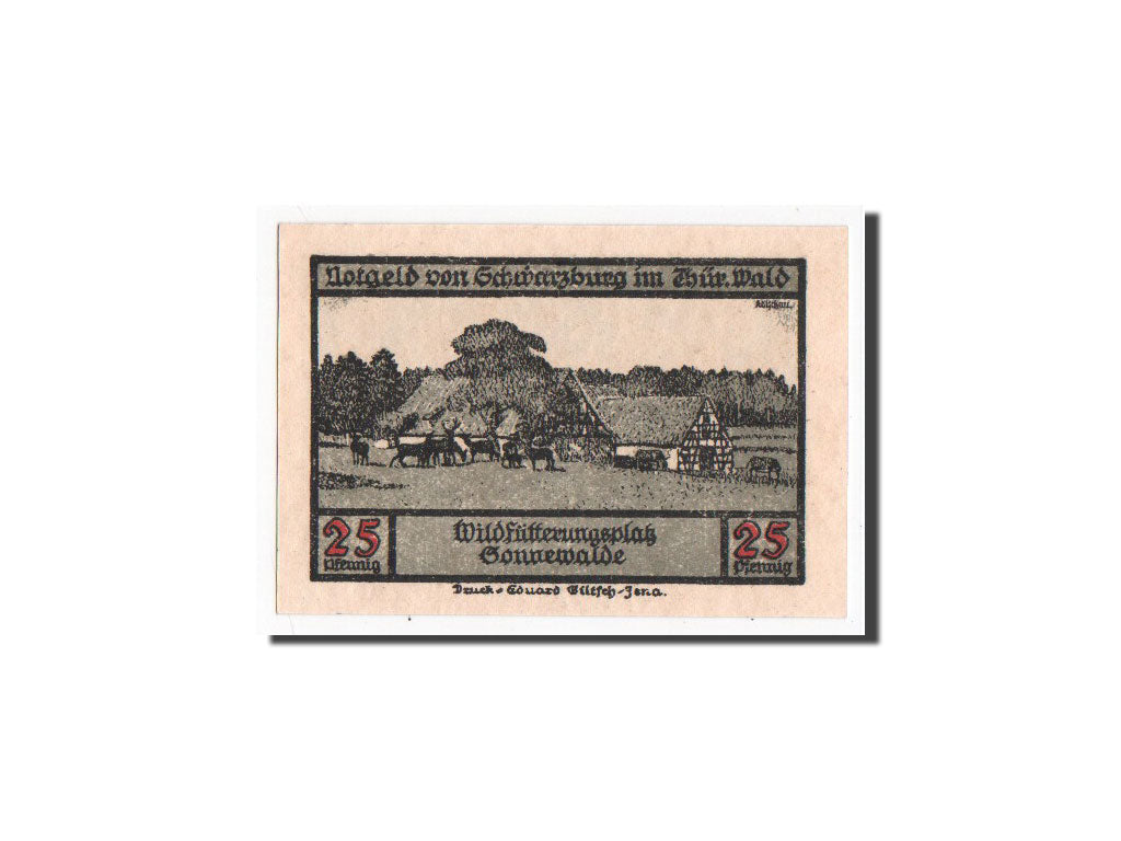 Banknote, Germany, Schwarzburg Stadt, 25 Pfennig, 1922, UNC(65-70), Mehl:1208