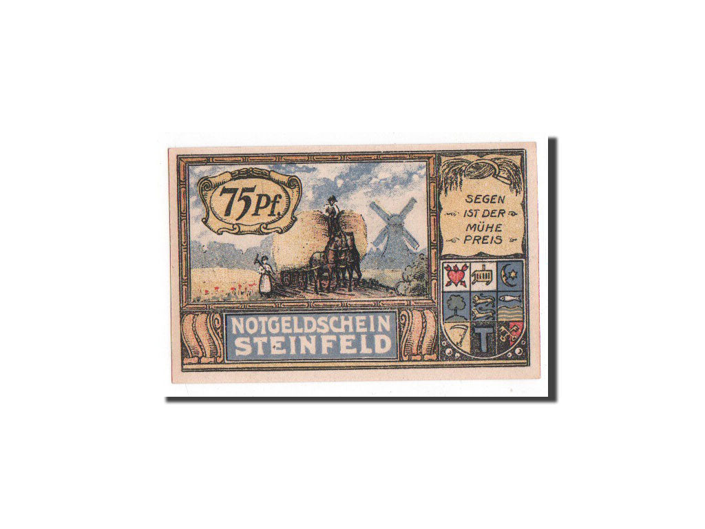 Banknote, Germany, Schleswig-Holstein, 75 Pfennig, 1920, UNC(65-70), Mehl:1262.4