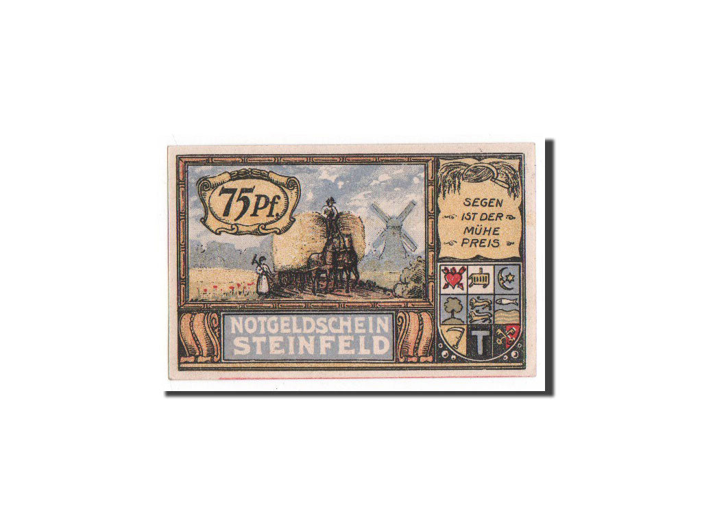 Banknote, Germany, Schleswig-Holstein, 75 Pfennig, UNC(65-70), Mehl:1262.6