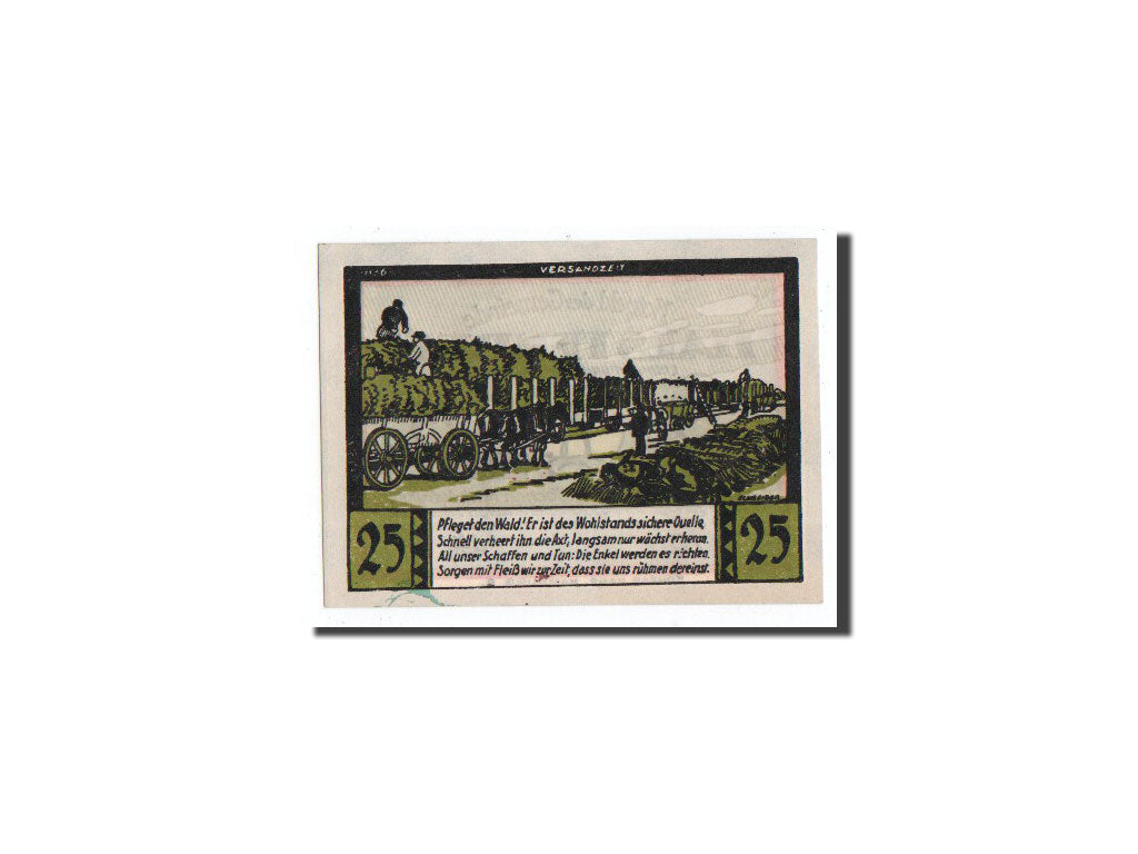 Banknote, Germany, Halstenbek, 25 Pfennig, O.D, Undated, UNC(65-70), Mehl:513.1a