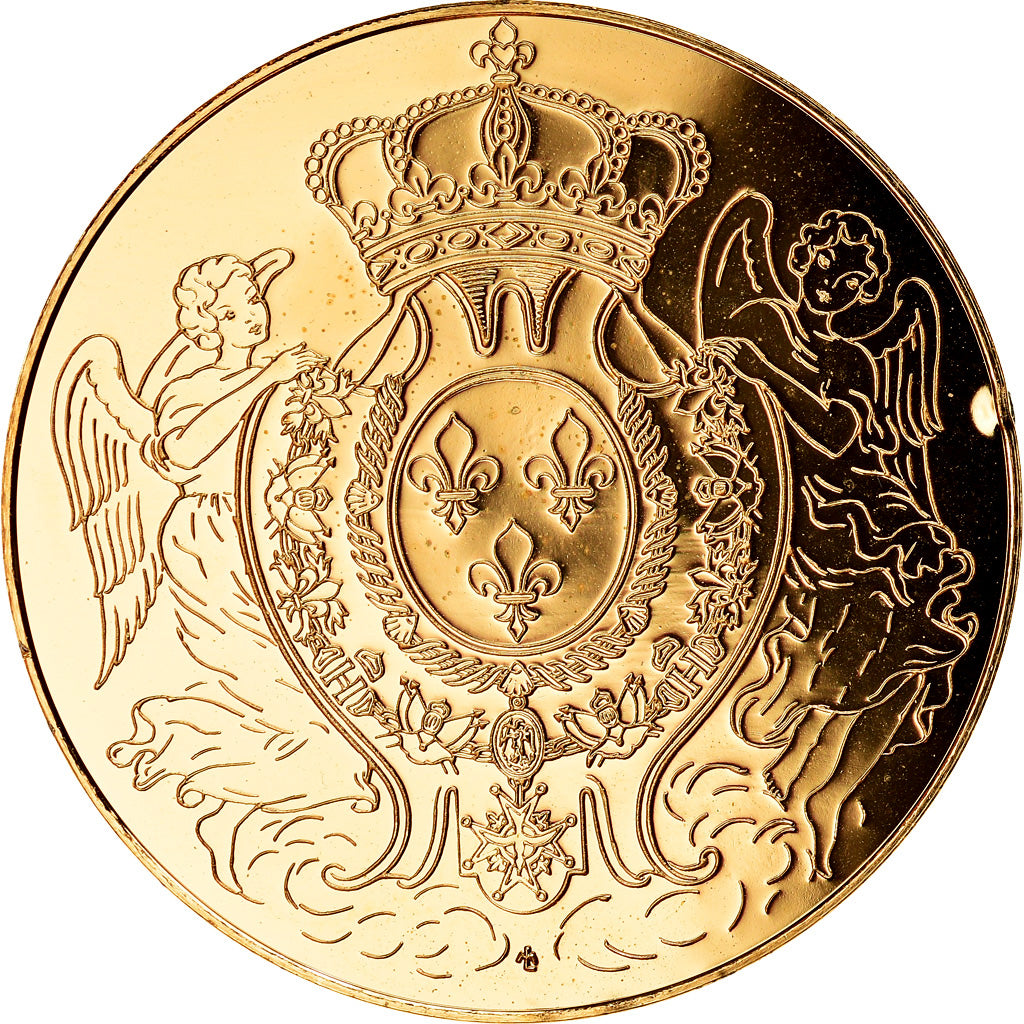 França, Medal, Les rois de France, Louis XV, História, MS(63), Vermeil