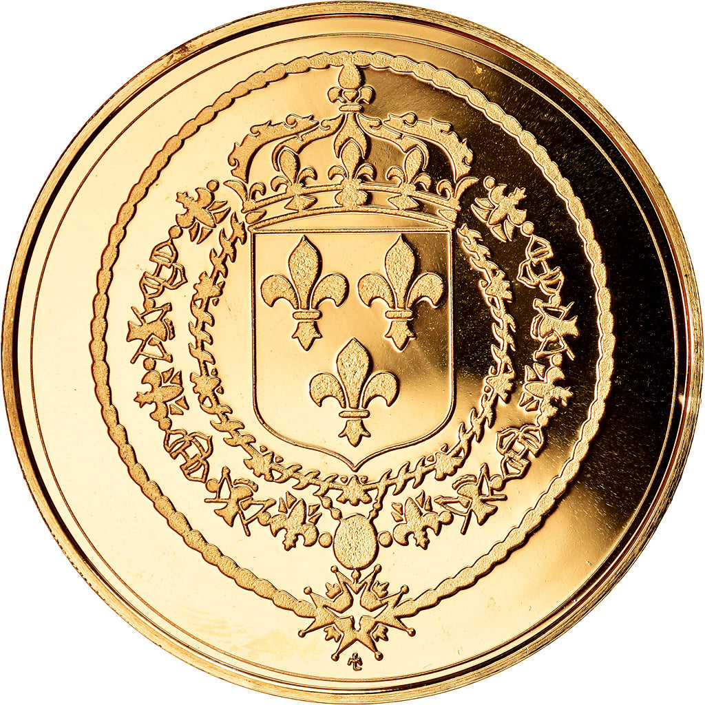 Frankrijk, Medaille, Les rois de France, Louis XIV, History, UNC-, Vermeil