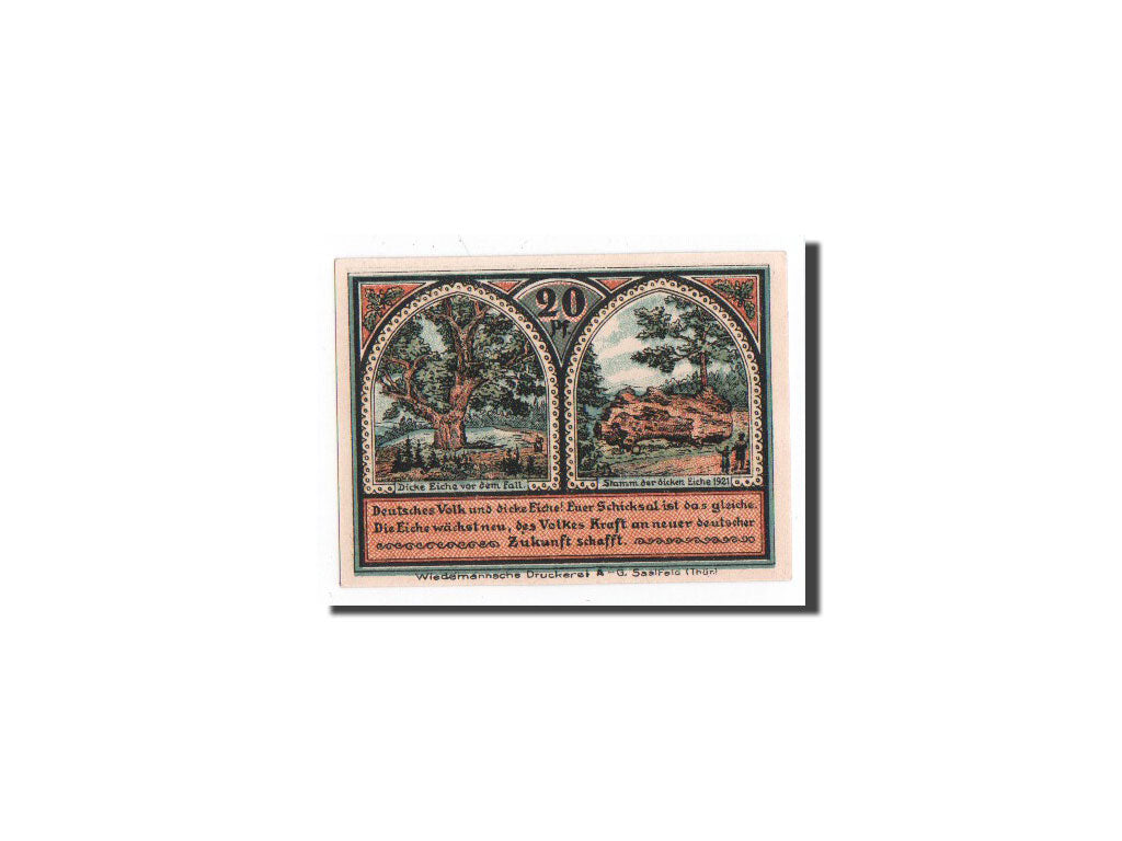 Biljet, Duitsland, Roda, 20 Pfennig, paysage, 1921, 1921-10-10, NIEUW