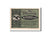 Banconote, Germania, Wünschendorf, 50 Pfennig, pont, 1921, 1921-09-20, FDS