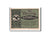 Banconote, Germania, Wünschendorf, 50 Pfennig, gare, 1921, 1921-09-20, FDS