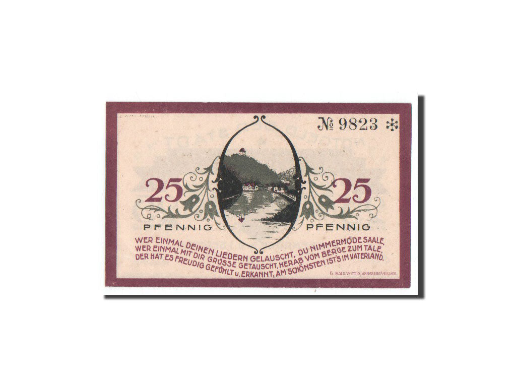 Billet, Allemagne, Ziegenrück, 25 Pfennig, paysage, 1921, 1921-09-01, NEUF