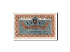 Billet, Allemagne, Ziegenrück, 75 Pfennig, paysage, 1921, 1921-09-01, NEUF