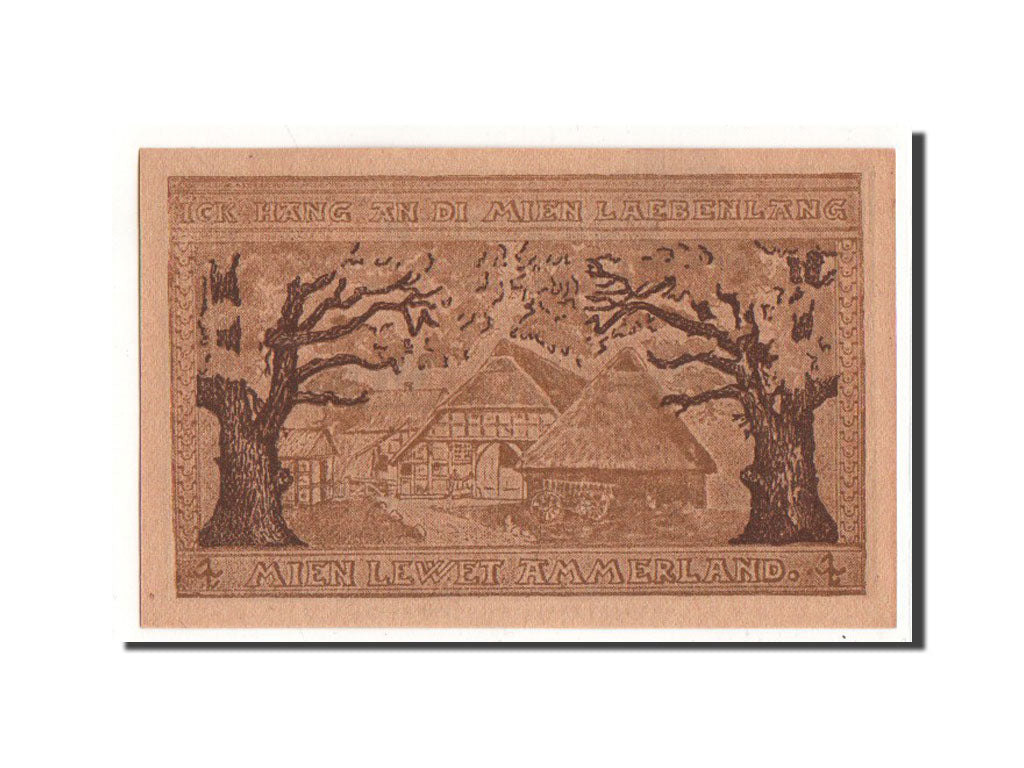 Geldschein, Deutschland, Zwischenahn, 50 Pfennig, ferme, O.D, Undated, UNZ