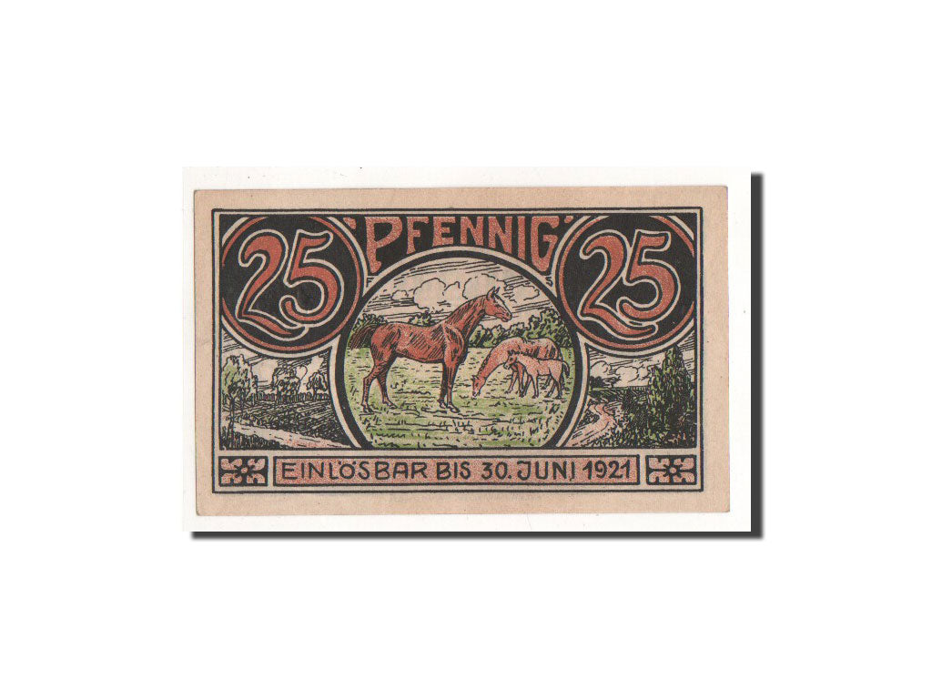 Banknote, Germany, Winsen a.d luhe, 25 Pfennig, berger, O.D, Undated