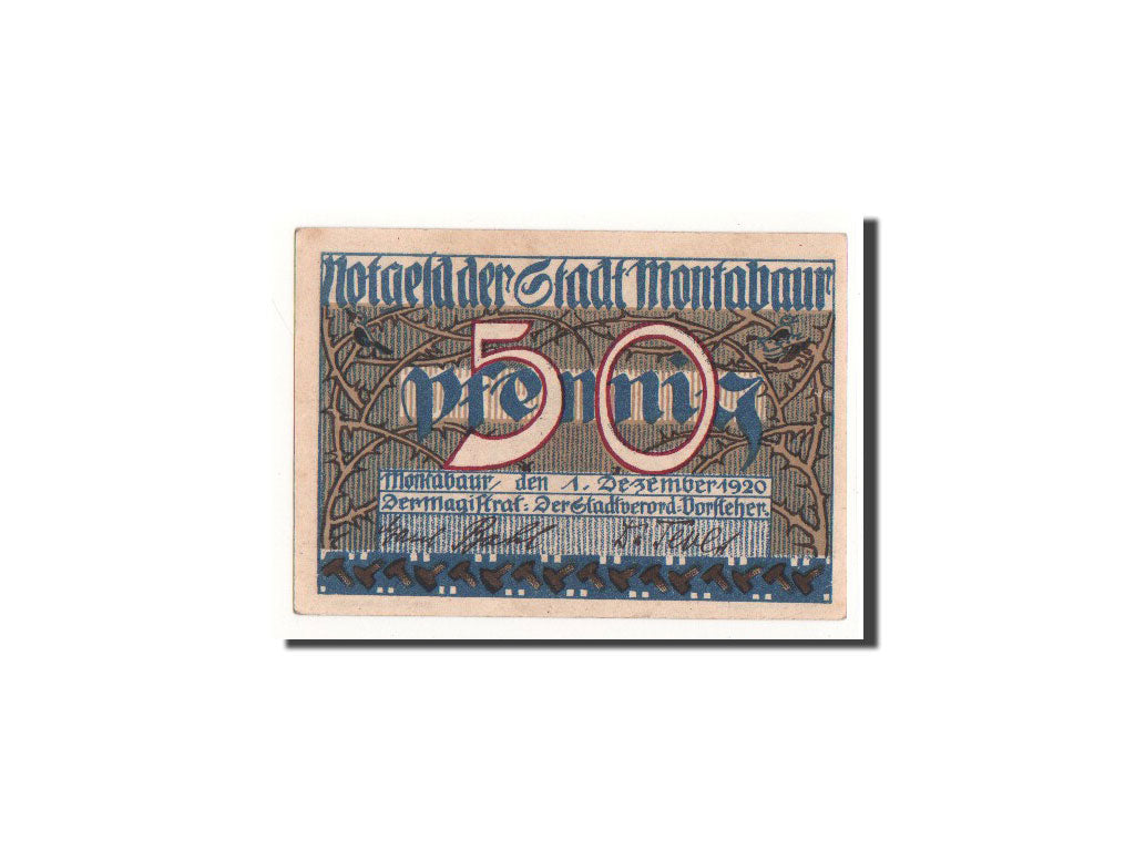 Geldschein, Deutschland, Montabaur, 50 Pfennig, château, 1920, 1920-12-01, UNZ