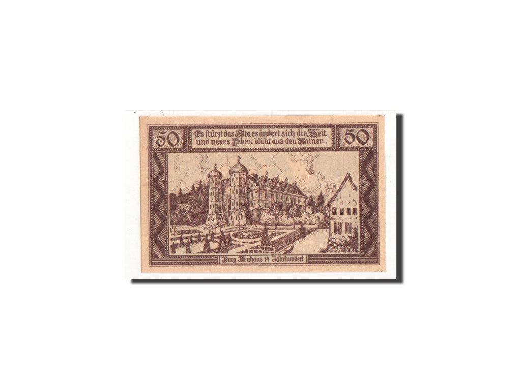 Billet, Allemagne, Neuhaus a.d Elbe, 50 Pfennig, château, 1921, 1921-04-01