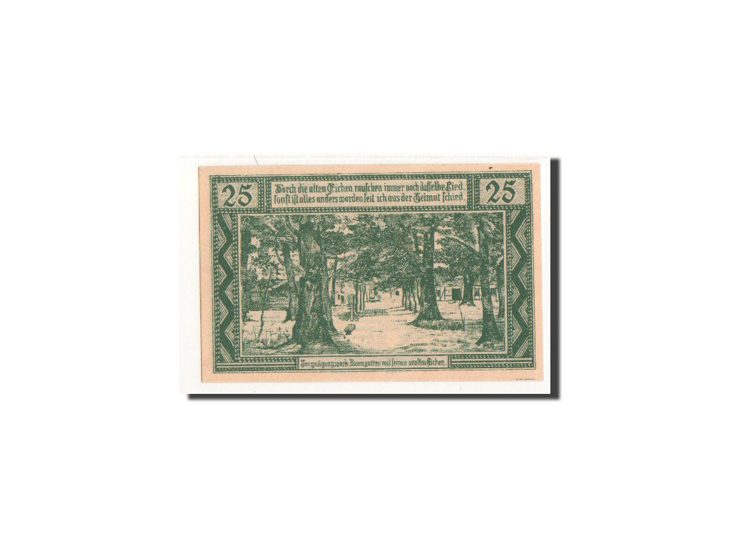 Billet, Allemagne, Neuhaus a.d Elbe, 25 Pfennig, paysage, 1921, 1921-04-01