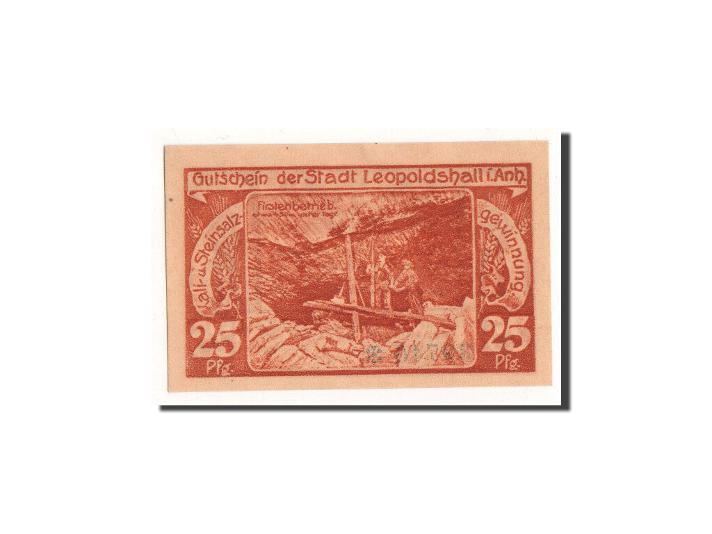 Biljet, Duitsland, Leopoldshall, 25 Pfennig, bateau, 1921, 1921-05-02, NIEUW