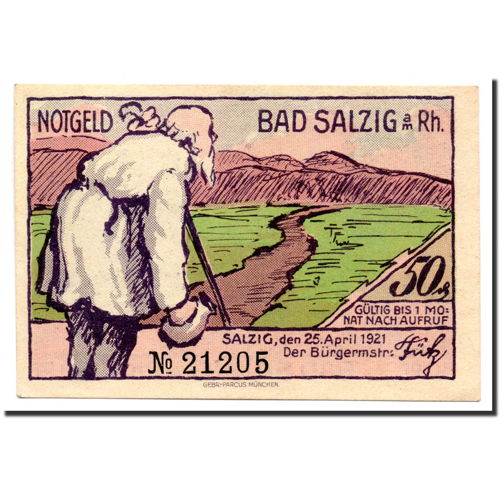 Billet, Allemagne, Salzig, 50 Pfennig, paysage, 1921, 1921-04-25, NEUF